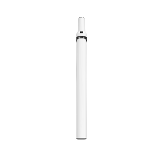 Empty Rechargeable Disposable Vape bulk buy