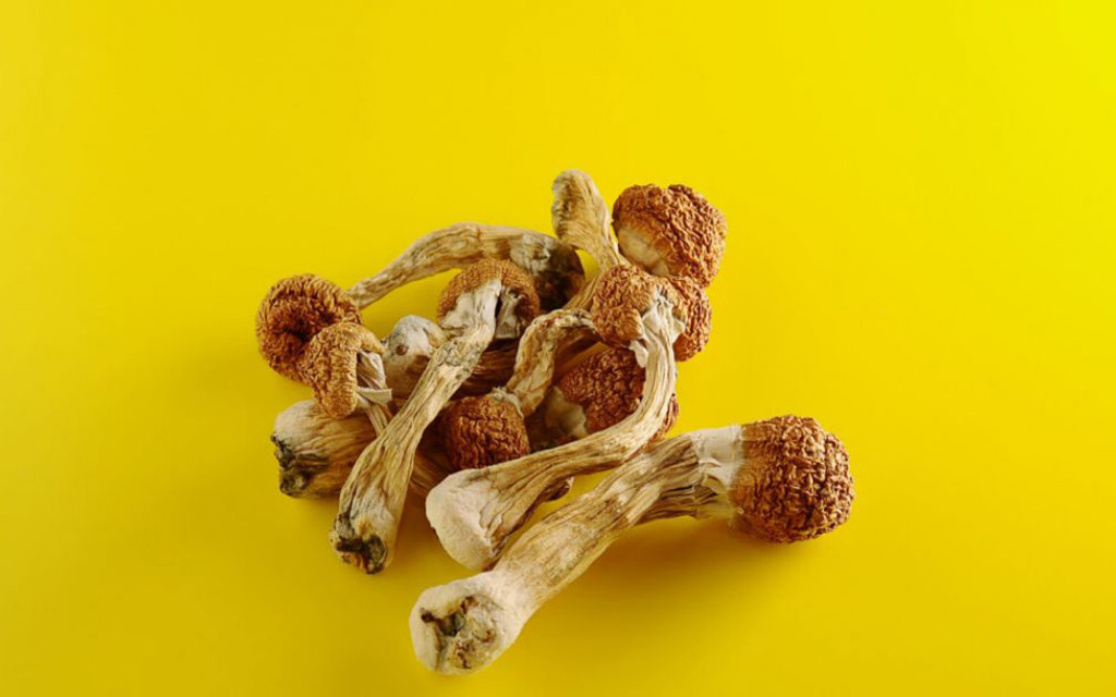 can you smoke shroom