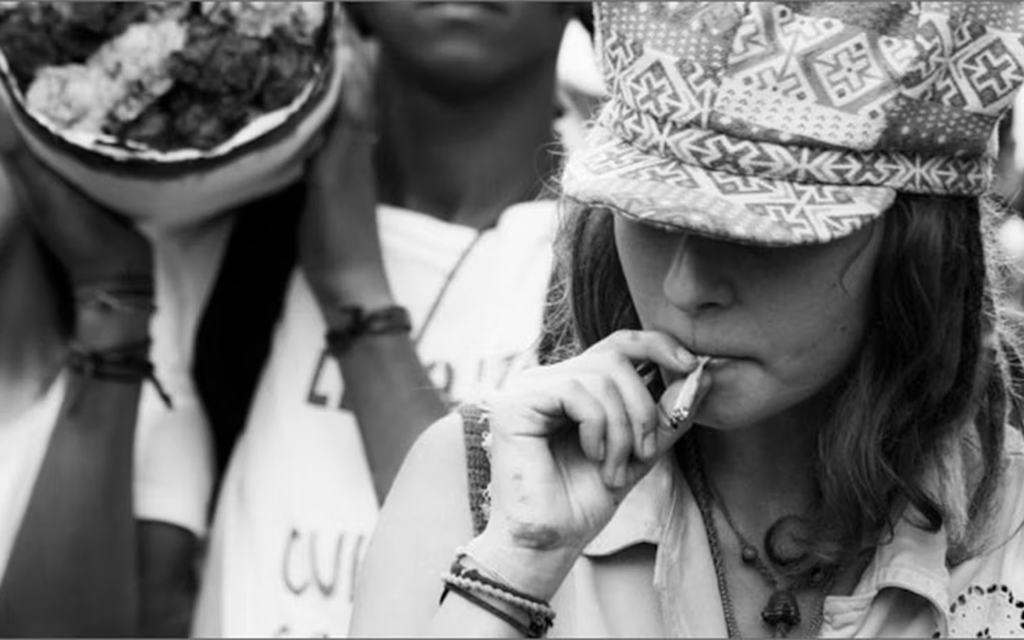 How Has Marijuana Changed Since the 1960s and 1970s